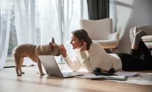 Comparing Pet Insurance Providers: What to Look For