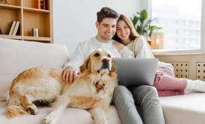 Understanding Pet Insurance: What Does It Cover?